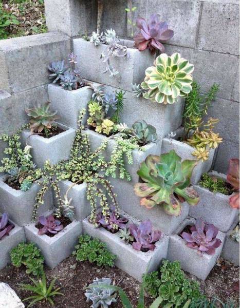 morning picdump 50 pics 11.html - 50 HD Photos | Premium Gallery 2016