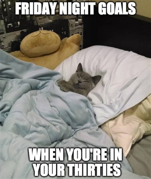 funny picdump 51 pics 10.html - 51 HD Photos | Premium Gallery 2016
