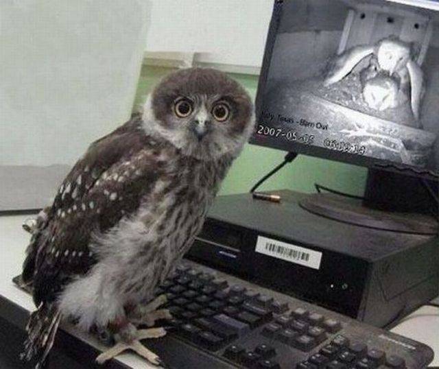 daily picdump 103 pics 22.html - 103 HD Photos | Premium Gallery 2016