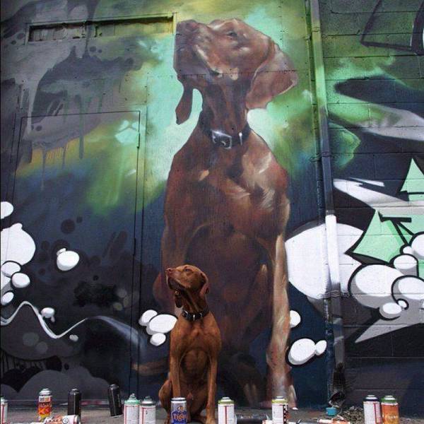 daily picdump 103 pics 22.html - 103 HD Photos | Premium Gallery 2016