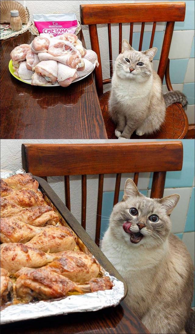 daily picdump 103 pics 22.html - 103 HD Photos | Premium Gallery 2016