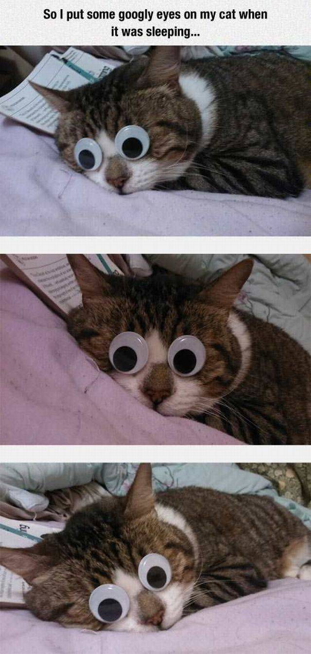 daily picdump 103 pics 22.html - 103 HD Photos | Premium Gallery 2016