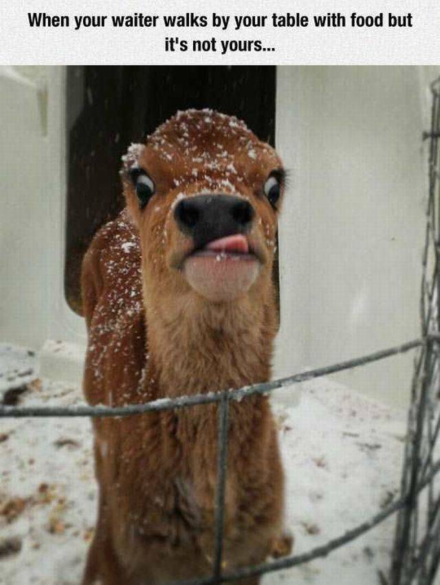 daily picdump 103 pics 22.html - 103 HD Photos | Premium Gallery 2016