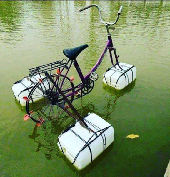 Morning Picdump