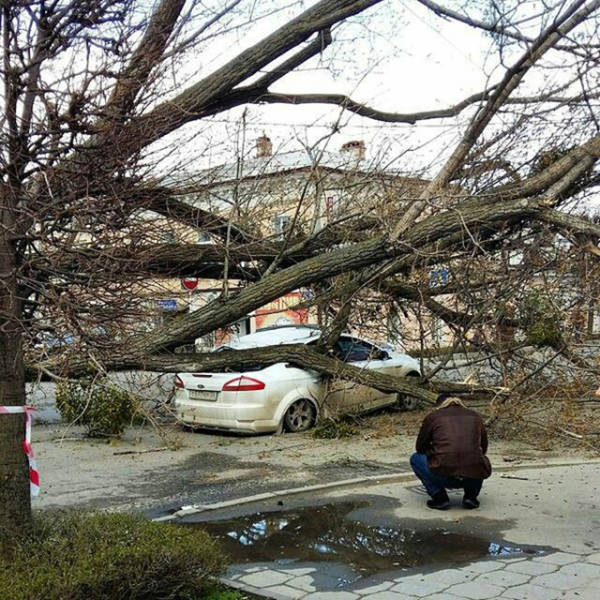 Morning Picdump