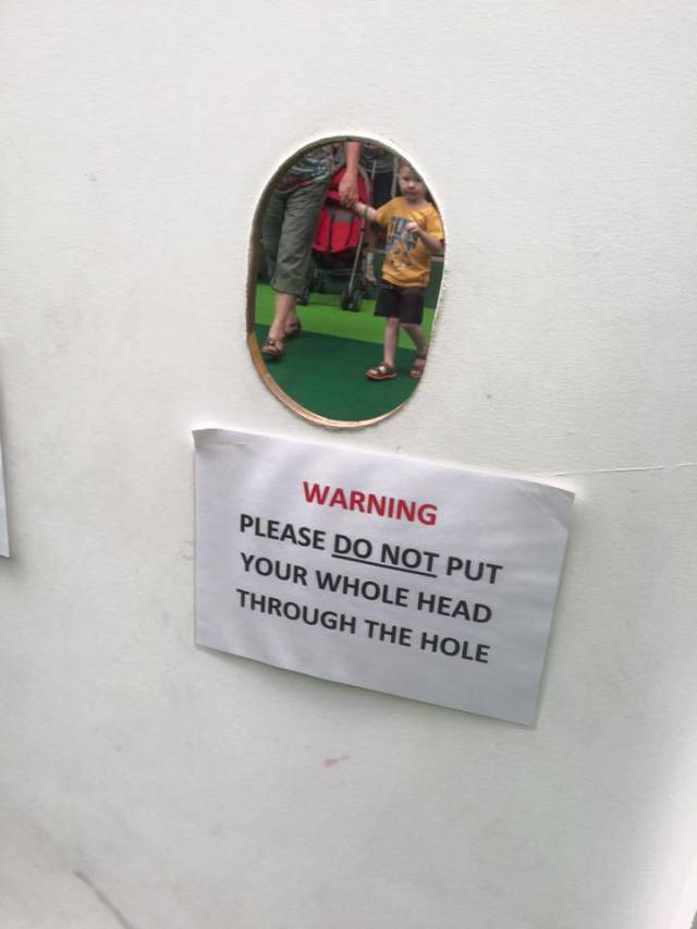 Morning Picdump
