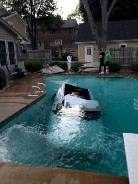 Daily Picdump