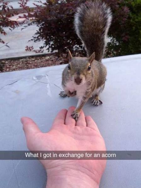 Daily Picdump