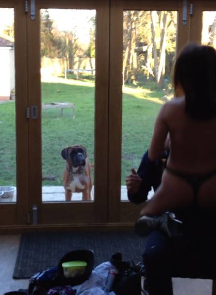 Daily Picdump