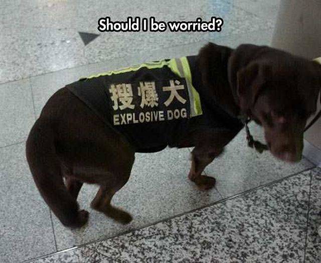 daily picdump 96 pics 1.html - 96 HD Photos | Premium Gallery 2016