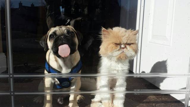 Morning Picdump