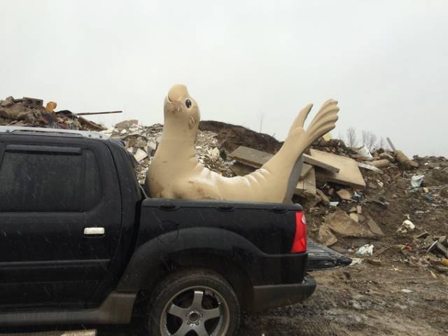 morning picdump 50 pics 21.html - 50 HD Photos | Premium Gallery 2016
