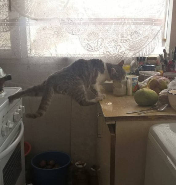 morning picdump 50 pics 21.html - 50 HD Photos | Premium Gallery 2016