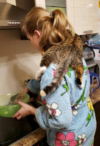 morning picdump 50 pics 21.html - 50 HD Photos | Premium Gallery 2016