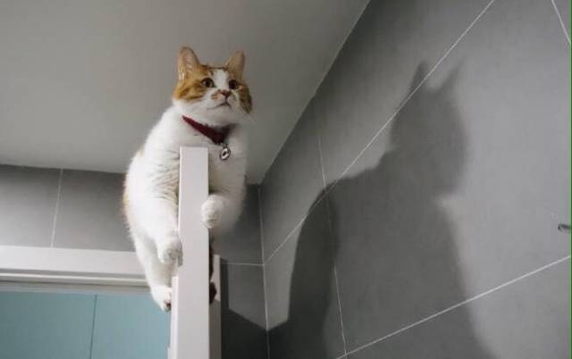 morning picdump 50 pics 15.html - 50 HD Photos | Premium Gallery 2016