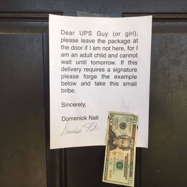 Morning Picdump