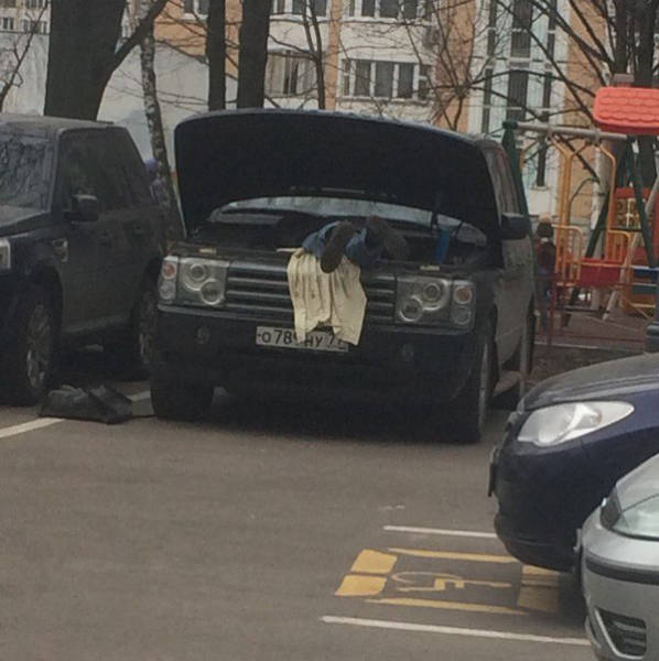 Morning Picdump