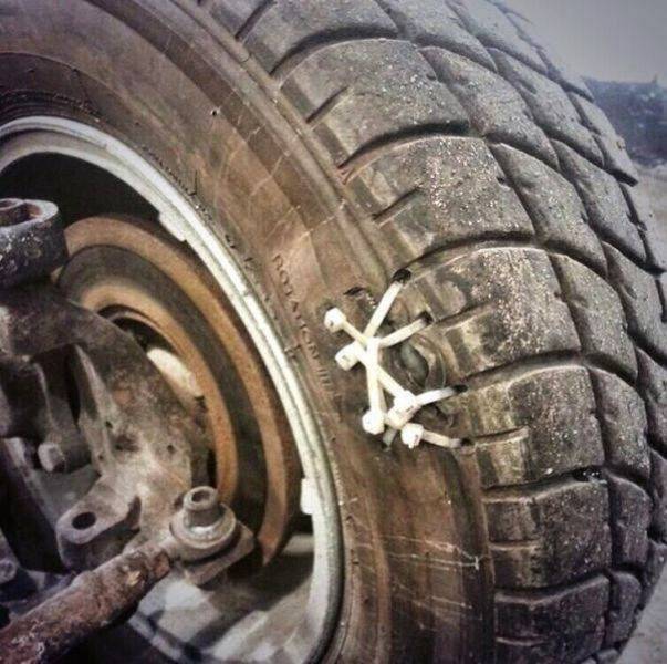 Morning Picdump