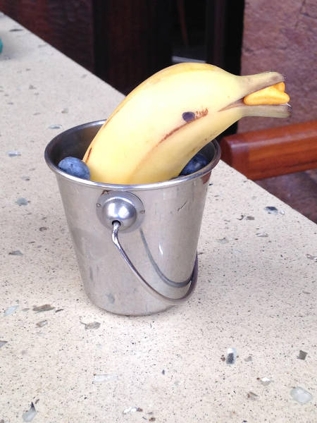 morning picdump 53 pics 3.html - 53 HD Photos | Premium Gallery 2016