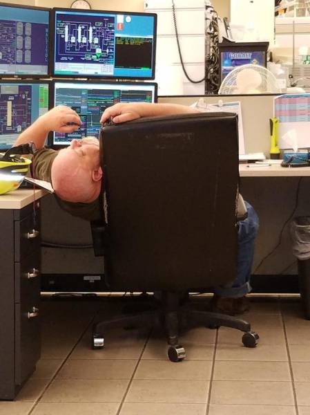 Morning Picdump