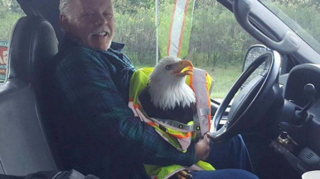 morning picdump 51 pics 11.html - 51 HD Photos | Premium Gallery 2016