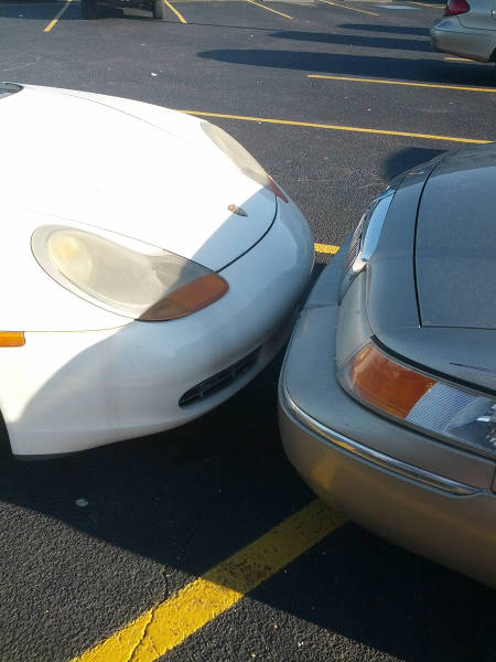 Morning Picdump