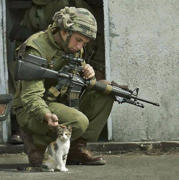 Fascinating Photos That Speak For Themselves
