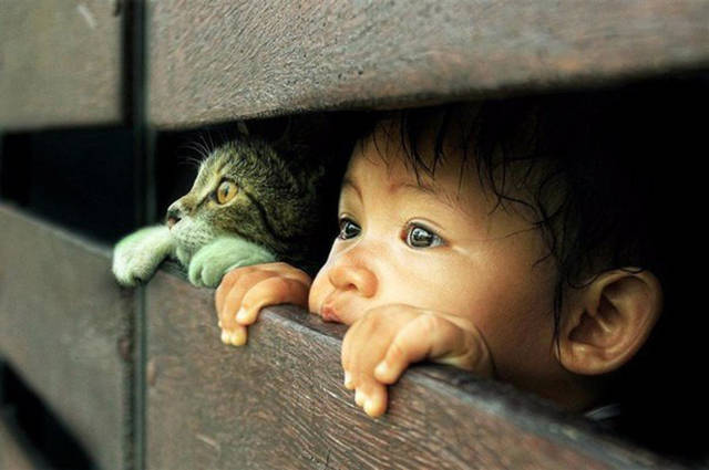 Fascinating Photos That Speak For Themselves