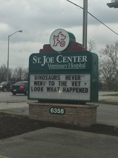 Morning Picdump