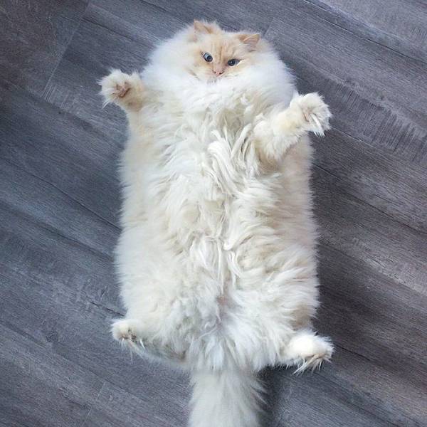 morning picdump 51 pics 20.html - 51 HD Photos | Premium Gallery 2016