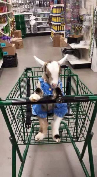 morning picdump 51 pics 20.html - 51 HD Photos | Premium Gallery 2016