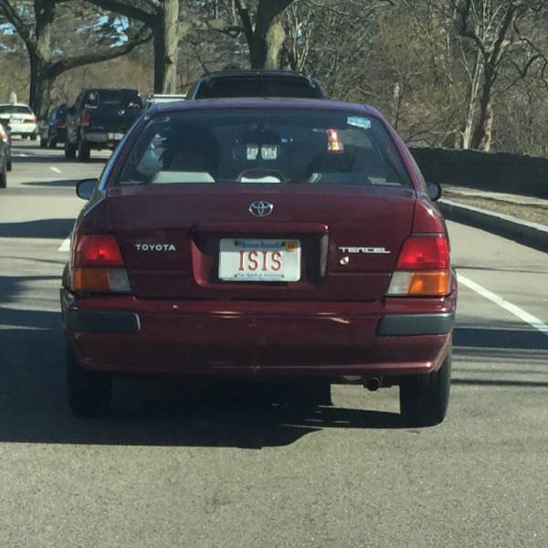 Morning Picdump