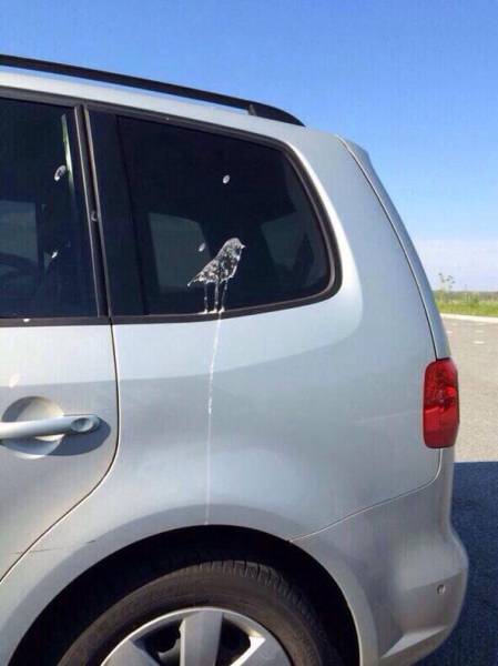 Morning Picdump