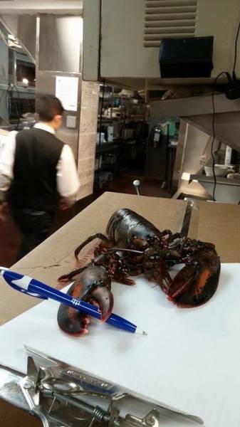 Morning Picdump