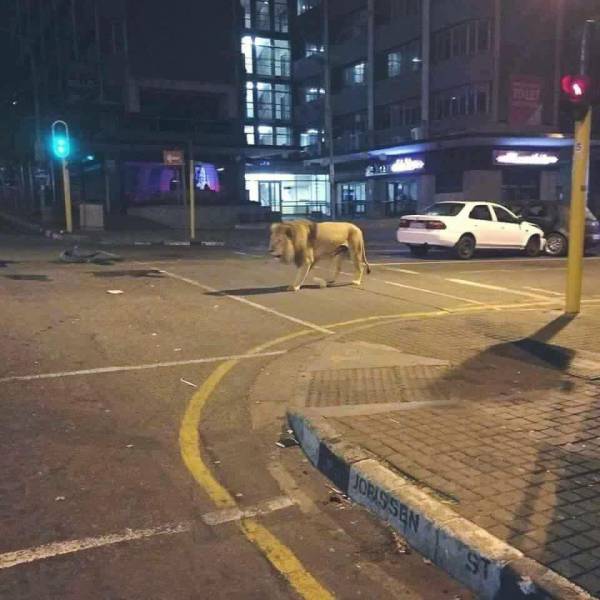 Morning Picdump