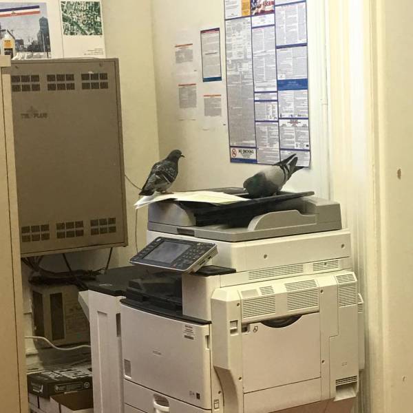 morning picdump 50 pics 22.html - 50 HD Photos | Premium Gallery 2016