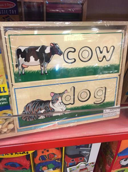 Morning Picdump