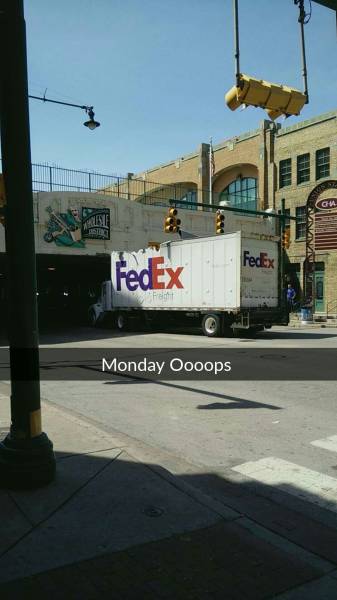 Morning Picdump