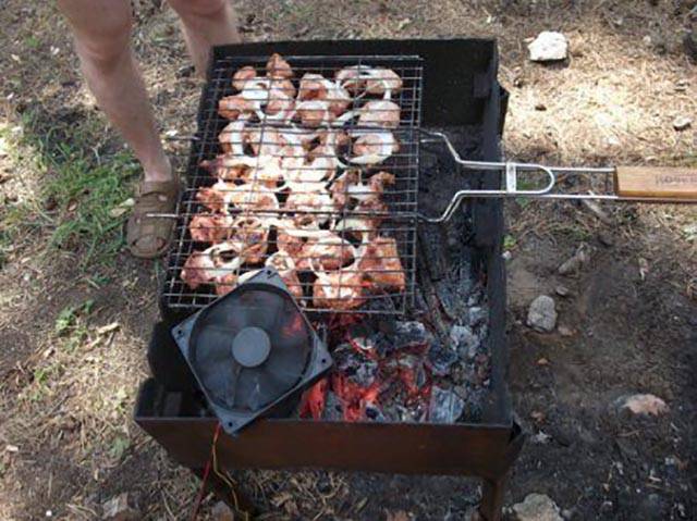 Morning Picdump