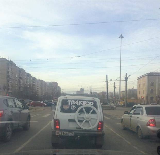 Morning Picdump