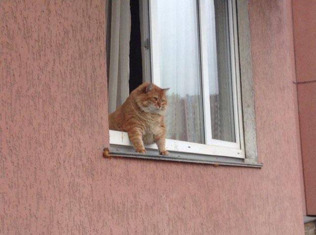 Morning Picdump