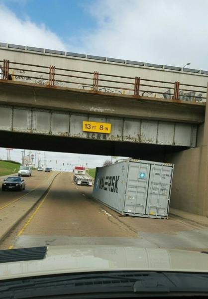 Morning Picdump