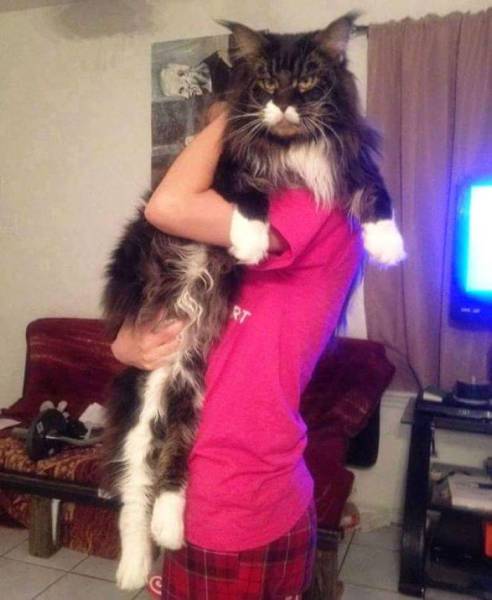 morning picdump 52 pics 12.html - 52 HD Photos | Premium Gallery 2016