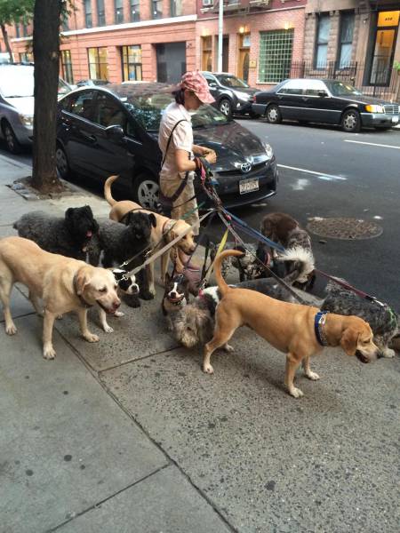 morning picdump 52 pics 12.html - 52 HD Photos | Premium Gallery 2016