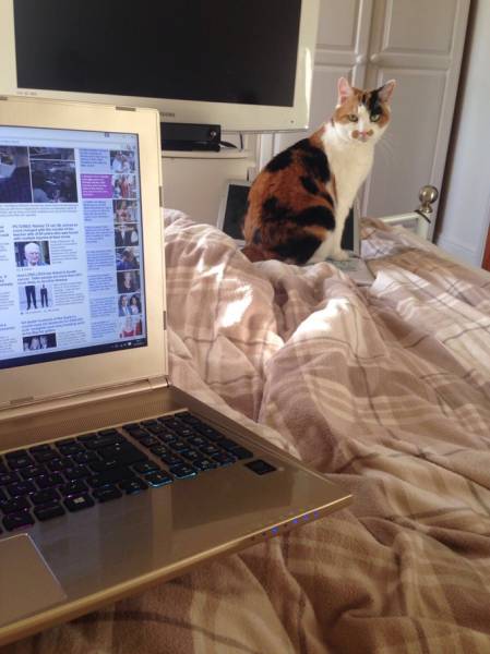 Morning Picdump