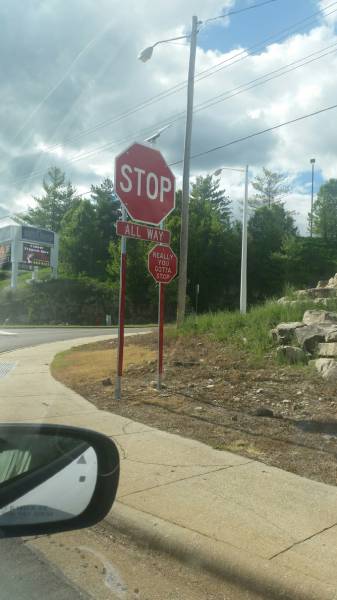Morning Picdump