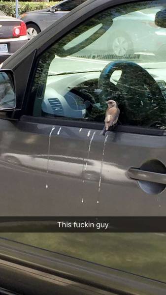 Morning Picdump