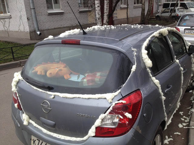 Morning Picdump