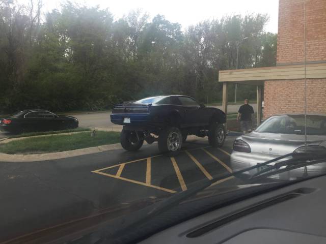 Morning Picdump