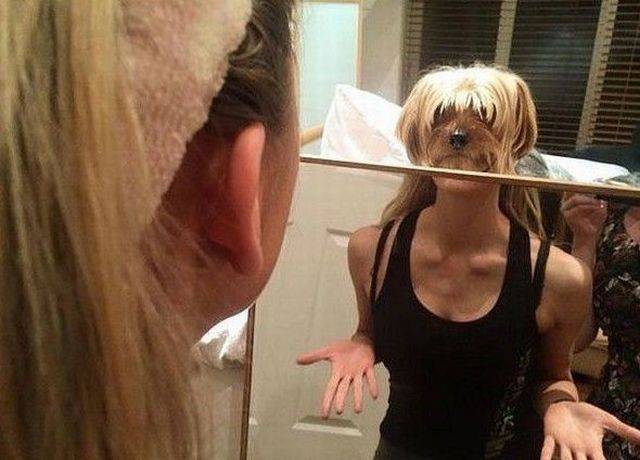 Daily Picdump